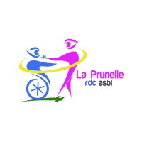 La Prunelle RDC asbl logo - Similar company to Kakebe Technologies