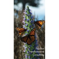 Papillon Transformative Consulting