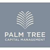 Palm Tree Capital Management logo - Similar company to Cyberdoc
