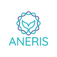 ANERIS Project logo - Similar company to George Project