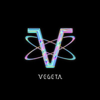 Vegeta Agency logo - Similar company to Homismart Ltd.