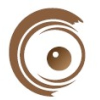 SOWA Business Intelligence logo - Similar company to Rebis Consulting