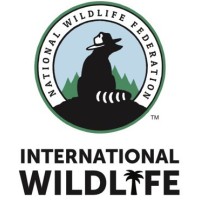 NWF International logo - Similar company to Solcina