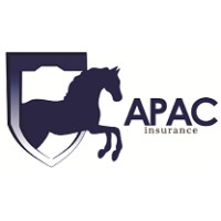 APAC Insurance Broking Services(I) Pvt. Ltd logo - Similar company to Apac Insurance