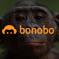 Bonobo Tecnologia logo - Similar company to Network Offices