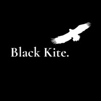 Black Kite. logo - Similar company to Biz Analytics (Australia)