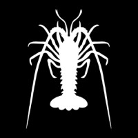 Top Lobster logo - Similar company to Workspaceco Outsourcing