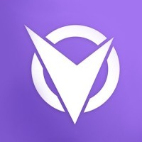 Team Visionary logo - Similar company to Didoctorio - Software Y Directorio Médico