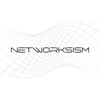 Networksism logo - Similar company to Watermelon Branding Agency