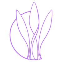 Examined Leadership Collective logo - Similar company to Dancing Veterans San Diego