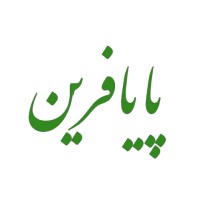 Payafarin logo - Similar company to Bontech Holding | هلدینگ فناوری بنتک