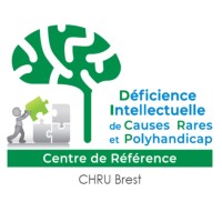 Centre de Référence Déficience Intellectuelle et Polyhandicap de causes rares (CRDI&P de Brest) logo - Similar company to Plateforme De Répit Paréo