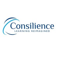 Consilience logo - Similar company to Data In Schools