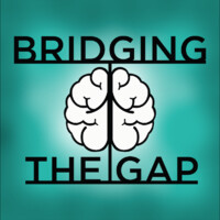 Bridging The Gap Laurier logo - Similar company to Promo Bears