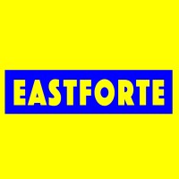 Eastforte logo - Similar company to Jnj Interactive