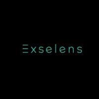 Exselens Global Business Services LLP logo - Similar company to Britbee Training Solutions Opc Pvt Ltd
