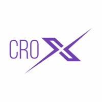 Crox Consulting Inc logo - Similar company to Crox Group