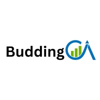 Budding CA logo - Similar company to Gaurav G Agrawal & Co., Chartered Accountants