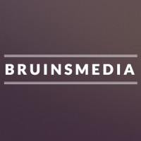 Bruinsmedia