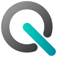 QNS logo - Similar company to Qns