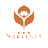 Grupo Marvelsa logo - Similar company to Grupo Emar