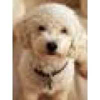 Peninsula Animal Dermatology