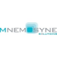 Mnemosyne Solutions, Llc.