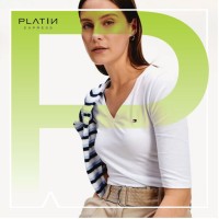 Platin Express logo - Similar company to Codix
