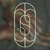 Saveri logo - Similar company to Dabit Lab