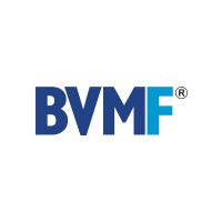 BVMF: Business Value Maximisation Framework logo - Similar company to Ba Masterminds