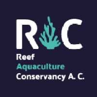 Reef Aquaculture Conservancy logo - Similar company to Impactopia