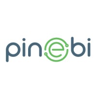 PineBI logo - Similar company to Edonusumnet