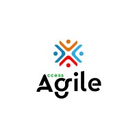 Access Agile logo - Similar company to Sales4Tech