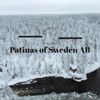 Patinas of Sweden AB logo - Similar company to Kiyani Holding
