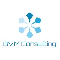 BVM Consulting, LLC logo - Similar company to Public Relations Network (Prn)
