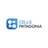 Cells Patagonia.com logo - Similar company to Whole-Chain International Standard