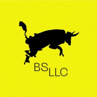 BS LLC | Branding, Strategy, & Marketing Agency logo - Similar company to Archmark | The Architect Branding & Marketing Agency