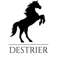 Destrier logo - Similar company to Destrier