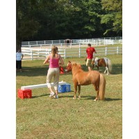 Bella Terra logo - Similar company to Izepper, Llc