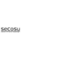 secosu | Consulting & Support logo - Similar company to 2Bcs Ag Digitalization Experts