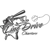 Line Drive Charters logo - Similar company to Freightflow