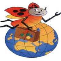 Travel Bug Egypt logo - Similar company to Travel Max
