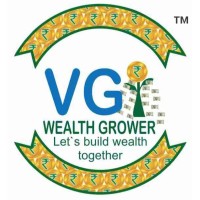 VG WEALTH GROWER logo - Similar company to Nursebeam