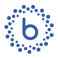 Blynksolve logo - Similar company to Scri-Is Technologies Ltd.