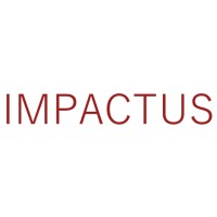 Impactus Consulting logo - Similar company to Vassistant Enterprises