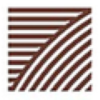 Ziccardi Designs