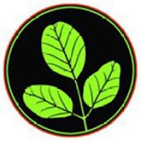 Moringa Energy Life logo - Similar company to Atarah Beauty Ltd