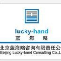 北京蓝海略咨询有限责任公司