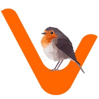 VDizitize Marcom Pvt Ltd logo - Similar company to Ccit