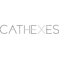 Cathexes logo - Similar company to Jkae